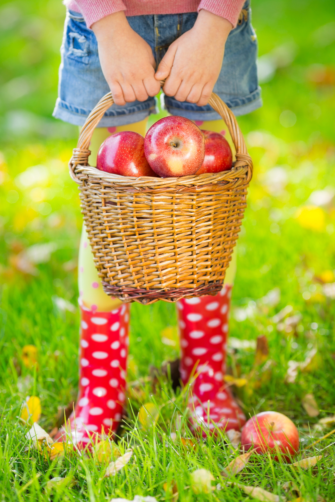 Kid Holding Basket with Apples